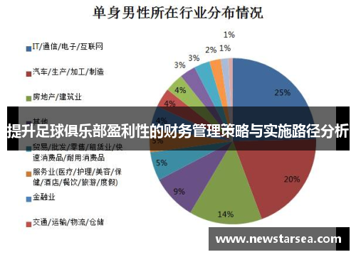提升足球俱乐部盈利性的财务管理策略与实施路径分析
