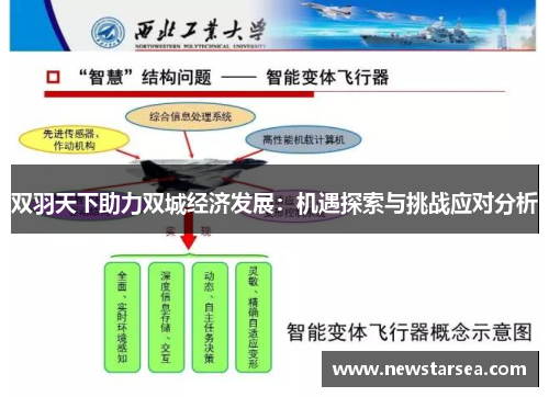 双羽天下助力双城经济发展：机遇探索与挑战应对分析