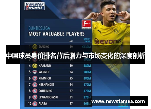 中国球员身价排名背后潜力与市场变化的深度剖析