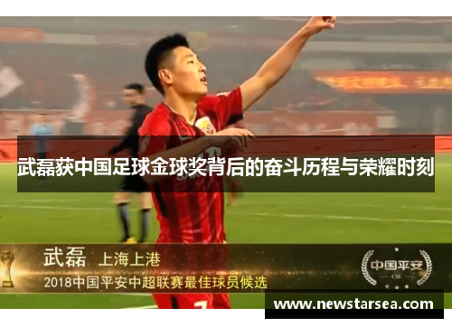 武磊获中国足球金球奖背后的奋斗历程与荣耀时刻